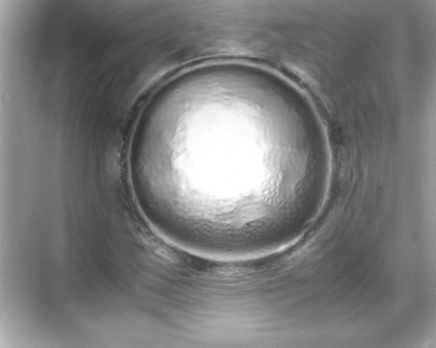 X0000071831163200607072202