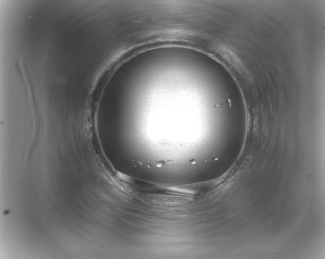 X0000071831164200607072202