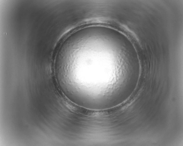 X0000071831166200607072202