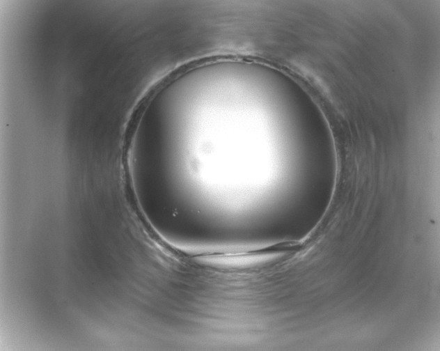 X0000071831168200607072202