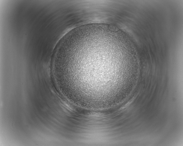 X0000071831170200607072202