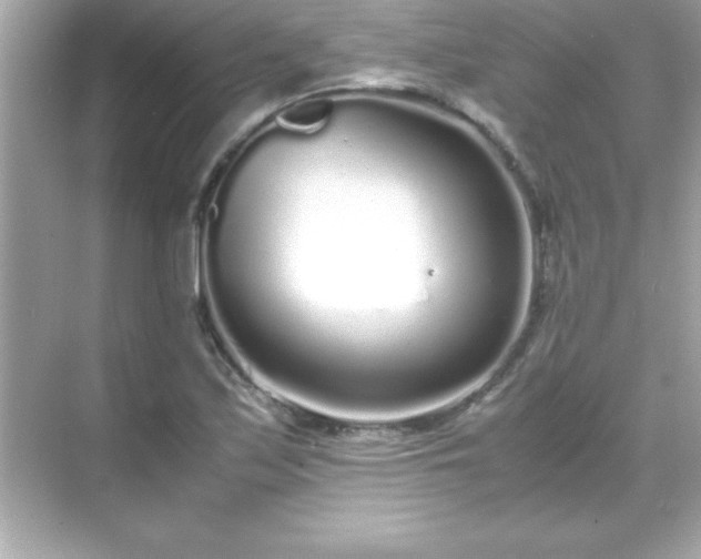 X0000071831171200607072202