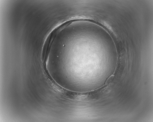 X0000071831173200607072202