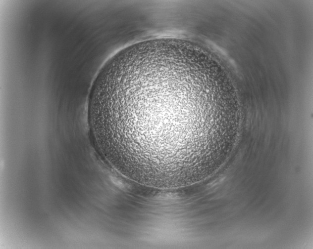 X0000071831174200607072202