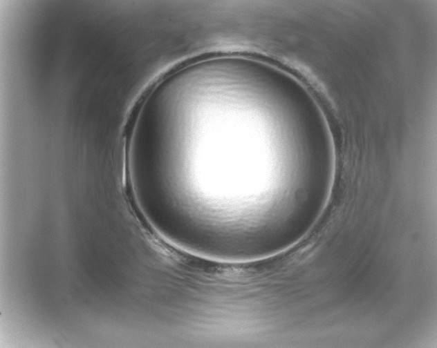 X0000071831175200607072202