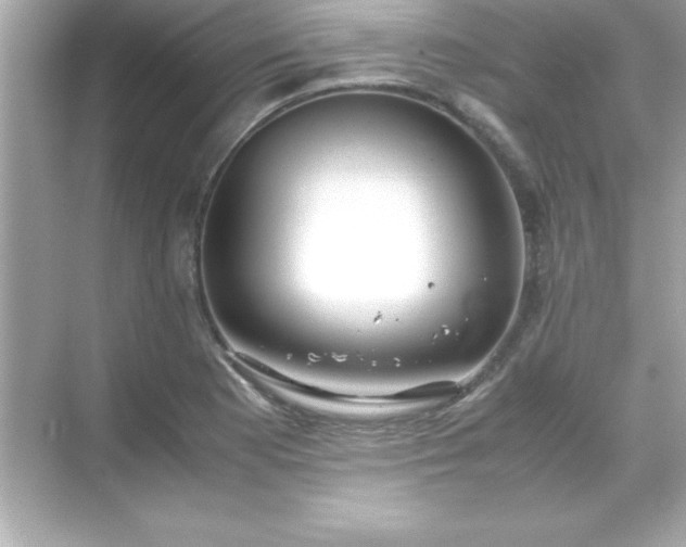 X0000071831177200607072202