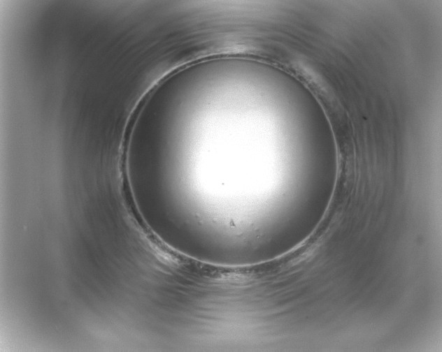 X0000071831178200607072202