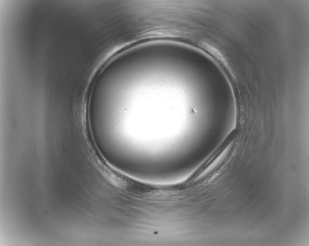 X0000071831179200607072202