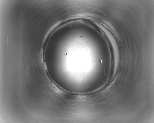 X0000071831180200607072202