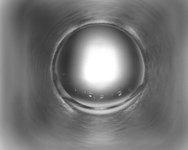 X0000071831181200607072202