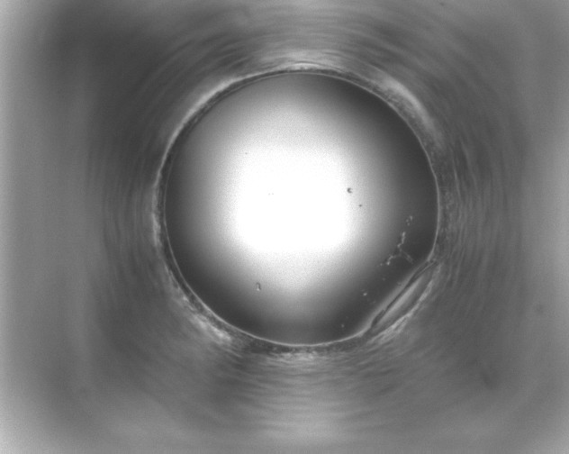 X0000071831182200607072202