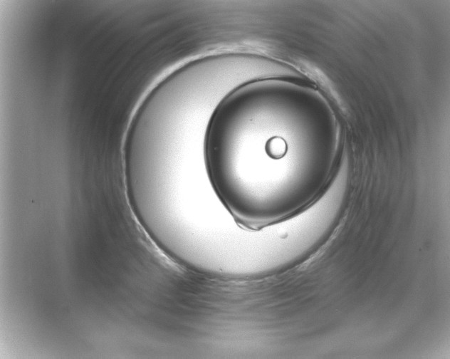 X0000071831184200607072202