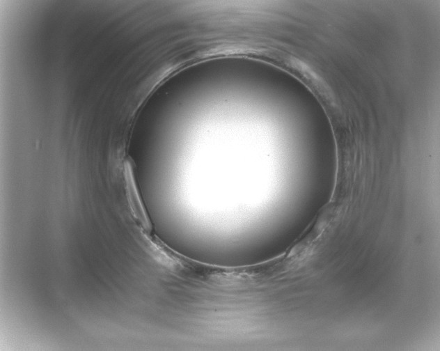 X0000071831185200607072202