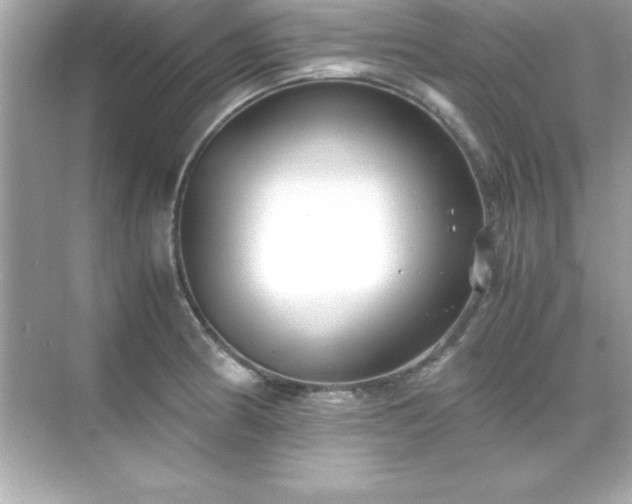 X0000071831186200607072202