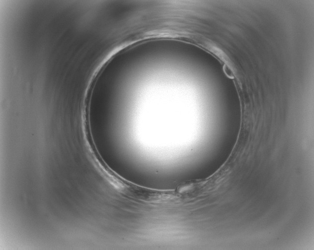 X0000071831187200607072202