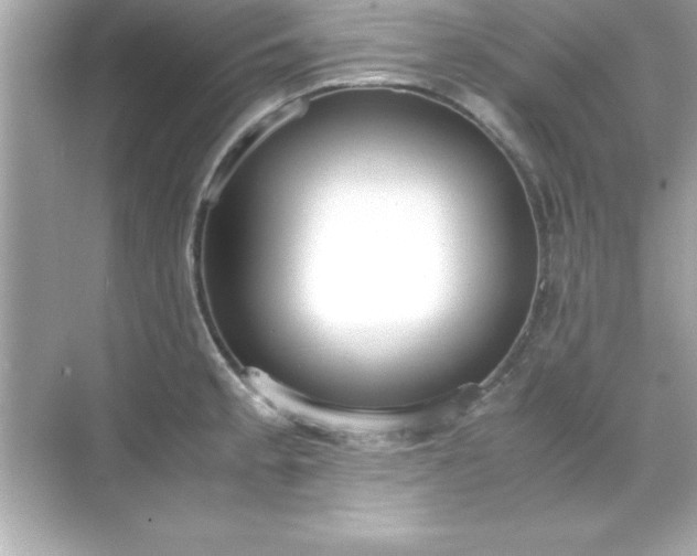 X0000071831189200607072202