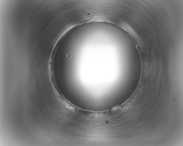 X0000071831190200607072202