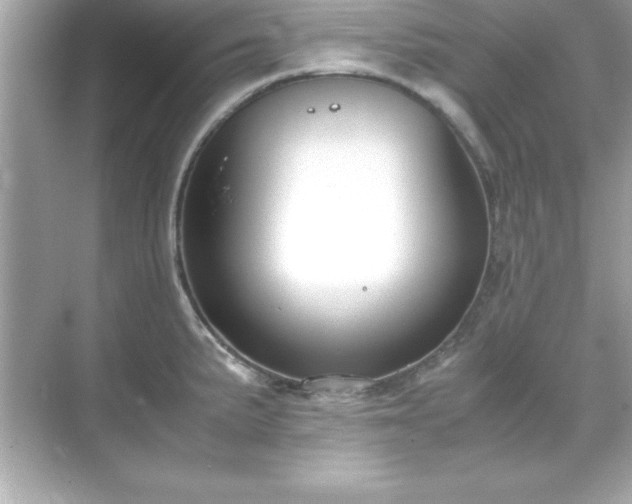 X0000071831191200607072202