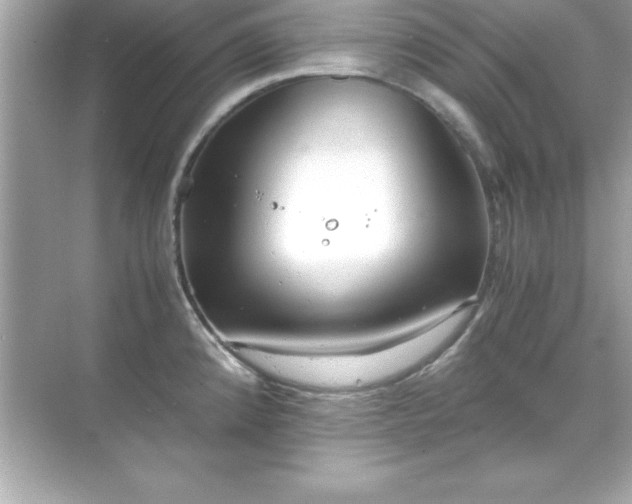 X0000071831192200607072202