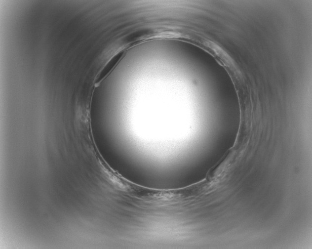 X0000071831193200607072202