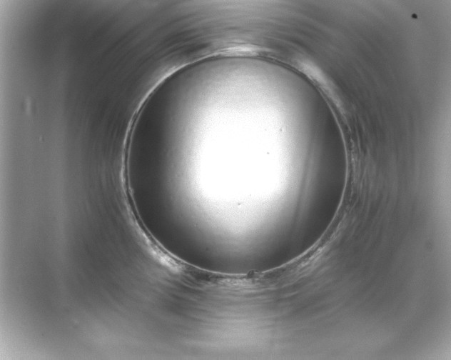 X0000071831194200607072202