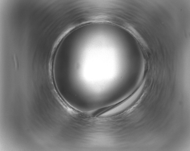 X0000071831196200607072202