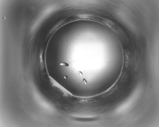 X0000071831198200607072201