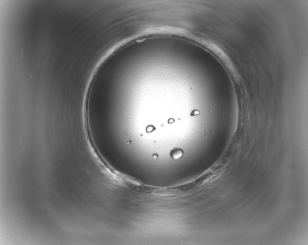 X0000071831199200607072201