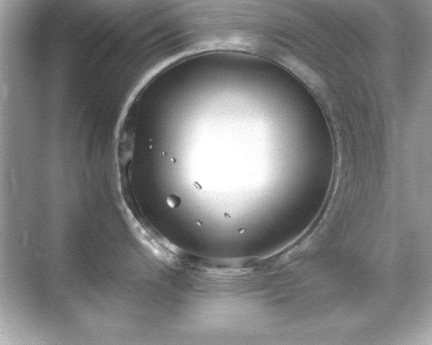 X0000071831200200607072201