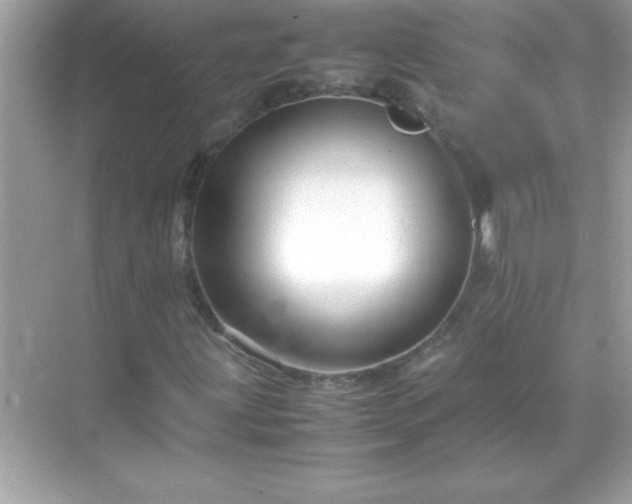 X0000071831203200607072201