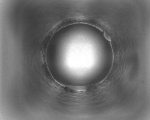 X0000071831205200607072201