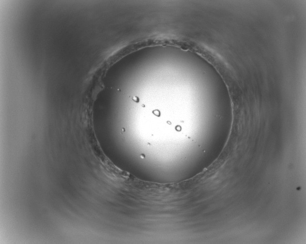 X0000071831207200607072201