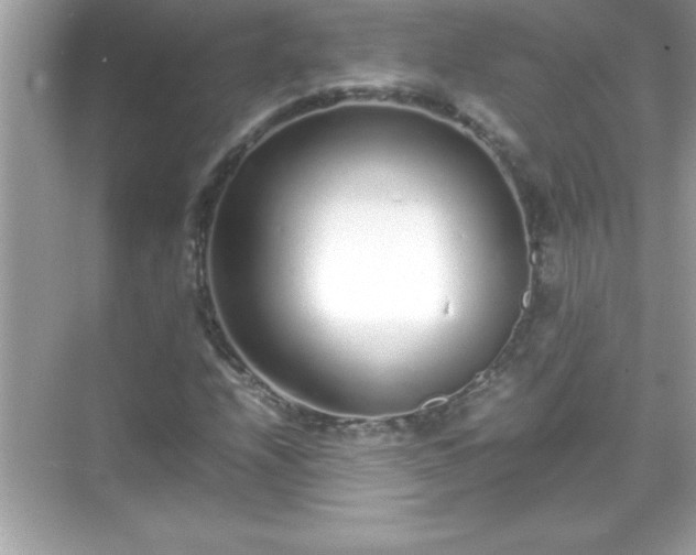 X0000071831208200607072201