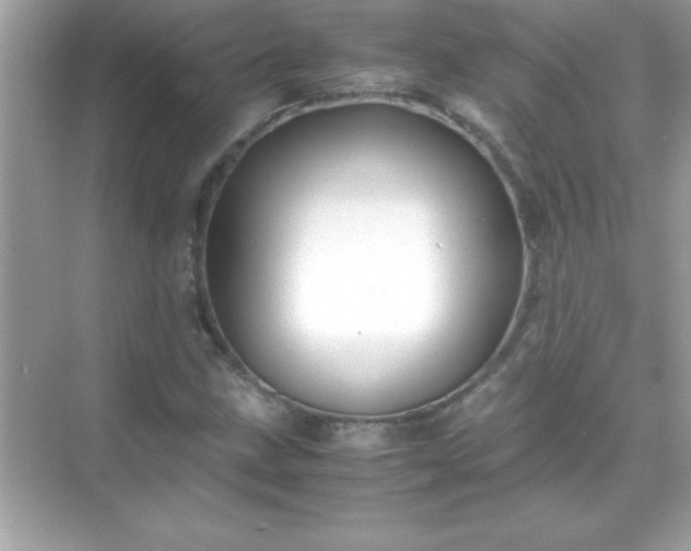 X0000071831211200607072201