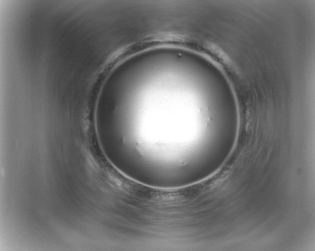 X0000071831213200607072201