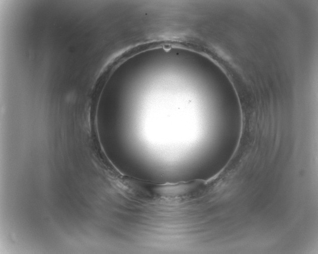 X0000071831214200607072201