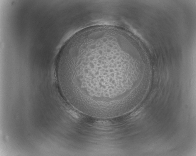 X0000071831215200607072201