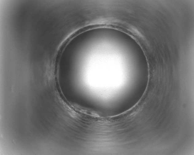 X0000071831216200607072201