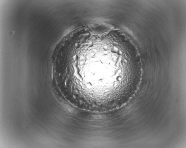 X0000071831219200607072201