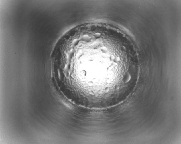 X0000071831223200607072201