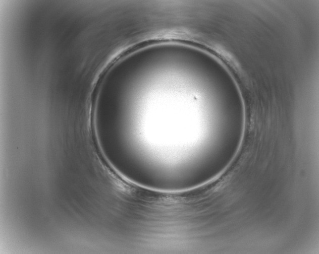 X0000071831224200607072201