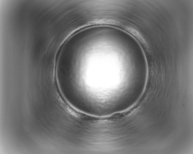 X0000071831228200607072201