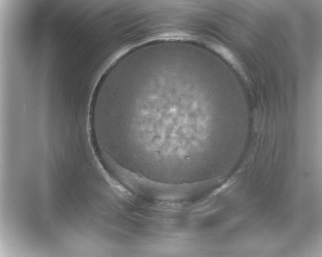 X0000071831229200607072201