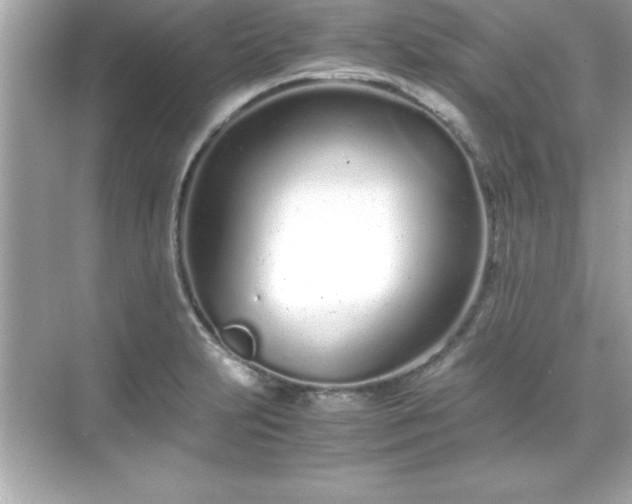 X0000071831231200607072201