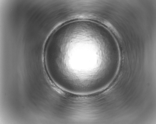 X0000071831232200607072201