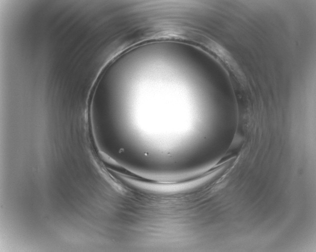 X0000071831234200607072201