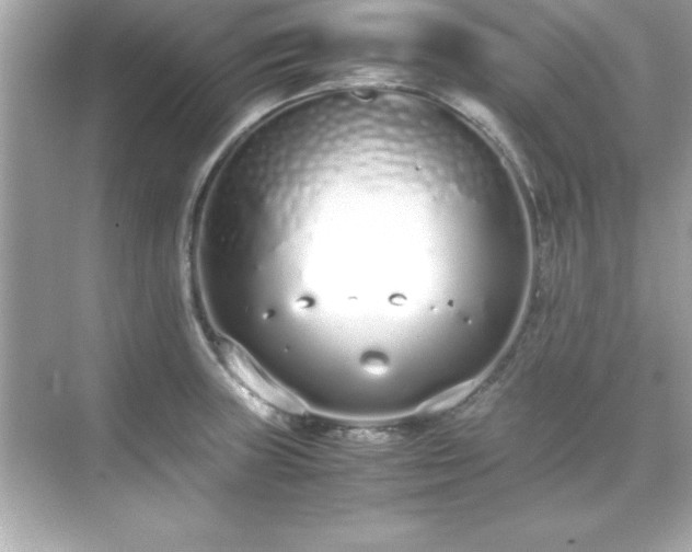 X0000071831235200607072201