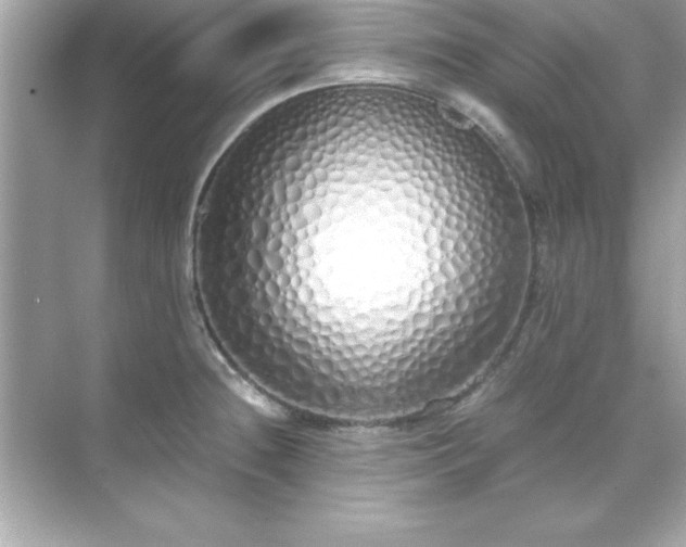 X0000071831236200607072201