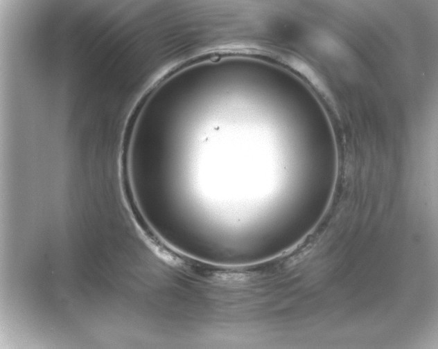 X0000071831237200607072201