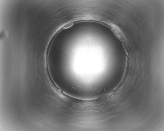 X0000071831238200607072201